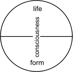 Itc - terrein - SMN - 4.png