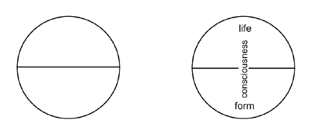File:Lifeandform.png